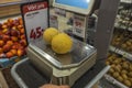 Close up view of yellow melon on weighing scales in supermarket.