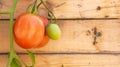 Close up of vine red Roma tomato and unripe green tomato on a wood background, useful for copy space or a web banner, depicting Royalty Free Stock Photo