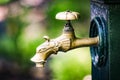 Close up of vintage animal head brass tap with drinking water on the city street or park. Selective focus