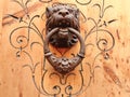 Close up on vintage luxury wooden old door with elegant ornate and round metallic handle knocker in form of tiger head. Spain