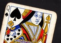 Close up of a vintage queen of spades playing card on a black background. Royalty Free Stock Photo