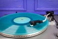 Close up of vintage turntable vinyl record player with turquoise vinyl Royalty Free Stock Photo