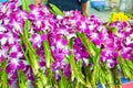 Violet orchid flower for respect buddha statue in temple thailand Royalty Free Stock Photo