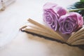 Close up of violet purple rose flower with love letters and feather quill, Rose and old paper with vintage and vignette tone Royalty Free Stock Photo