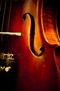 Close Up Violin