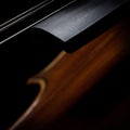 Close up of the violin