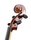 Close-up violin head on white background Royalty Free Stock Photo