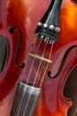 Close up of a violin isolated on a black background Royalty Free Stock Photo