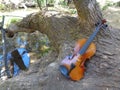 Close up of a violin leaning on a tree going into a creek Royalty Free Stock Photo