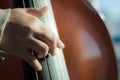 Close up of a violin ready to play Royalty Free Stock Photo