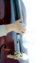 Close up of a violin ready to play Royalty Free Stock Photo