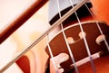 Close Up of Violin Scroll and Bow Royalty Free Stock Photo