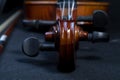 Close up of violin scroll, musical instrument Royalty Free Stock Photo