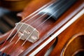 Close up of violin strings with shallow depth of field. Antique music instrument Royalty Free Stock Photo