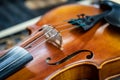 Close up of violin strings with shallow depth of field. Antique music instrument Royalty Free Stock Photo