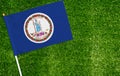 Close-up of Virginia flag against closed up view of grass