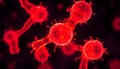 Close-up Visualization of Red Virus Cells Dividing Under a Microscope Royalty Free Stock Photo