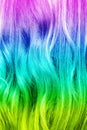 Close up of vivid multicolored curly hair