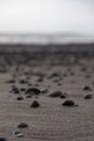 Close up of volcanic beach sand with rocks in Bali, Indonesia Royalty Free Stock Photo