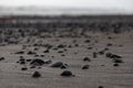 Close up of volcanic beach sand with rocks in Bali, Indonesia Royalty Free Stock Photo