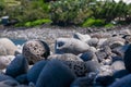 Close-up of volcanic rock pebble beach on sunny day