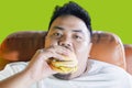 Voracious obese man eating a burger on the sofa Royalty Free Stock Photo