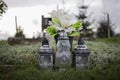 Close up of Votive candles lantern on the grave in Slovak Catholic cemetery during day. Autumn scene. All Hallows eve. Memorial Royalty Free Stock Photo