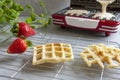 Close-up of waffel maker and soft Viennese waffles on the wire rack with blueberries, strawberry. Selective focus