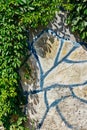 Close up of wall made of large gray cobblestones partially covered with sprouted plants Royalty Free Stock Photo