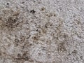Close-up of Wall Texture Details