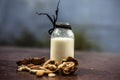 Close up of walnut or akhrot on wooden surface in a clay bowl with a small transparent bottle used to make dry fruit milkshake. Royalty Free Stock Photo