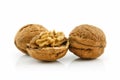 Close-up of a Walnut Fruits Isolated on White Royalty Free Stock Photo