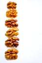 Close-up of walnut kernels lined up isolated on white background.