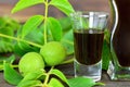 Close up of walnut liqueur Royalty Free Stock Photo