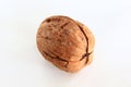 Close up of a walnut Royalty Free Stock Photo