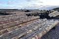 Close up of warehouse with production of woodworking sawmills, boards, lumber and logs. Timber industry