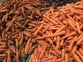 Washed and unwashed carrots with beet, vegetables concept