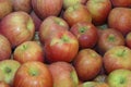 Close up of Washington Apples