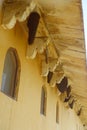 Close up of a wasp nest hanging from the ceiling of a building at outdoors, in Amber Fort near Jaipur, Rajasthan, India