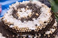 Close-up of wasp nest with larva for sale in the market Royalty Free Stock Photo