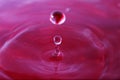Close up of a water drop falling and impacting on a body of water Royalty Free Stock Photo