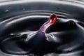 Close up of a water drop falling and impacting on a body of water