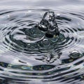 Water droplet as it collides with a liquid surface, creating Royalty Free Stock Photo