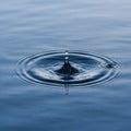 Up of a water droplet impacts the surface creating concentric Royalty Free Stock Photo