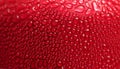 Close up of Water Droplets Royalty Free Stock Photo