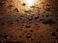 Close up water droplets on dark metallic surface reflection golden light Royalty Free Stock Photo