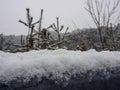 Close-up of water droplets falling from icicles on a road railing. The background is a snowy forest Royalty Free Stock Photo