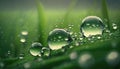 a close up of water droplets on a green grass blade