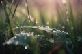 a close up of water droplets on a green grass blade Royalty Free Stock Photo