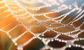 Close Up of Water Droplets on Spider Web Royalty Free Stock Photo